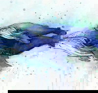 A Day At Sea - Six Tanks 3.00-5.00pm - New South Wales Tourism 