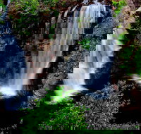 Litchfield Dreams 1 Day National Park Waterfall Swimming  Jumping Croc Cruise - New South Wales Tourism 