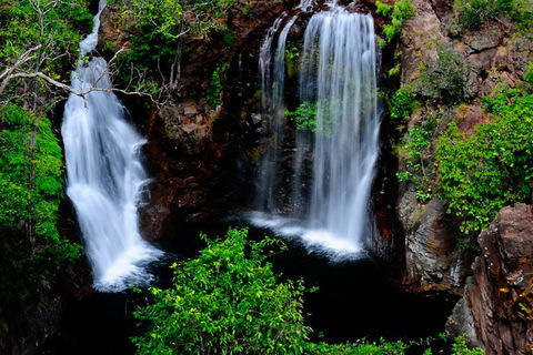 Litchfield Dreams 1 Day National Park Waterfall Swimming & Jumping Croc Cruise - New South Wales Tourism  0