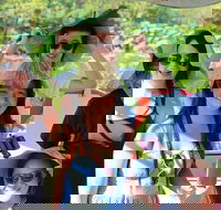 1030am Safari Cruise 1.5 Hours - New South Wales Tourism 