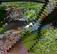 60 Minute Scenic Flight - Litchfield National Park - New South Wales Tourism 