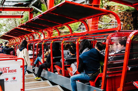 All-Inclusive Blue Mountains Day Trip With River Cruise - New South Wales Tourism  7