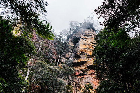All-Inclusive Blue Mountains Day Trip With River Cruise - New South Wales Tourism  3