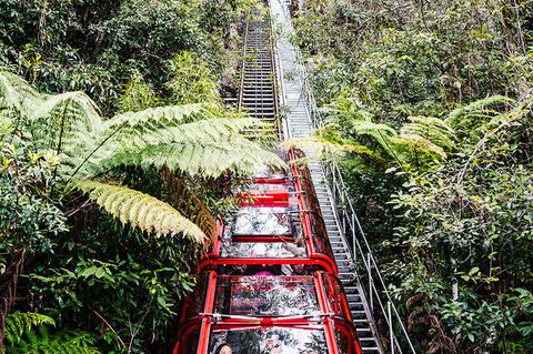 All-Inclusive Blue Mountains Day Trip With River Cruise - New South Wales Tourism  6