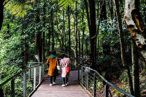 All-Inclusive Blue Mountains Day Trip With River Cruise - New South Wales Tourism  10