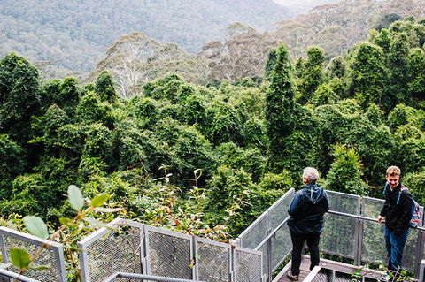 All-Inclusive Blue Mountains Day Trip With River Cruise - New South Wales Tourism  2