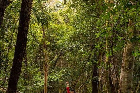 All-Inclusive Blue Mountains Day Trip With River Cruise - New South Wales Tourism  26