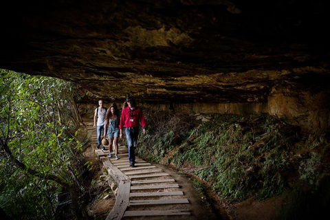 All-Inclusive Blue Mountains Day Trip With River Cruise - New South Wales Tourism  34