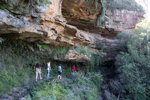 All-Inclusive Blue Mountains Day Trip With River Cruise - New South Wales Tourism  38