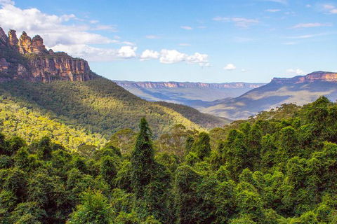 All-Inclusive Blue Mountains Day Trip With River Cruise - New South Wales Tourism  28