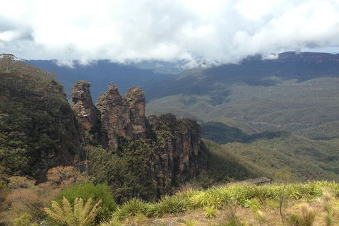 All-Inclusive Blue Mountains Tour In A Luxury Mercedes Sprinter - New South Wales Tourism  11