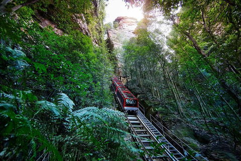 All-Inclusive Blue Mountains Tour In A Luxury Mercedes Sprinter - New South Wales Tourism  3