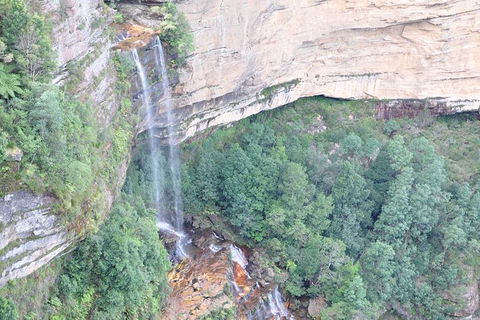 All-Inclusive Blue Mountains Tour In A Luxury Mercedes Sprinter - New South Wales Tourism  17