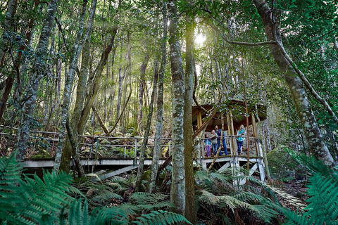 All-Inclusive Blue Mountains Tour In A Luxury Mercedes Sprinter - New South Wales Tourism  19
