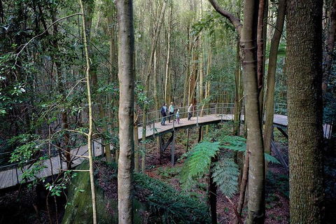 All-Inclusive Blue Mountains Tour In A Luxury Mercedes Sprinter - New South Wales Tourism  13