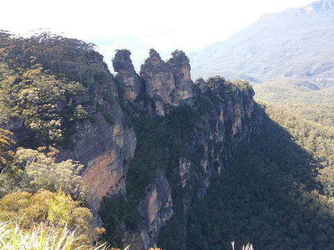 Blue Mountains Nature And Wildlife Day Tour From Sydney - New South Wales Tourism  8