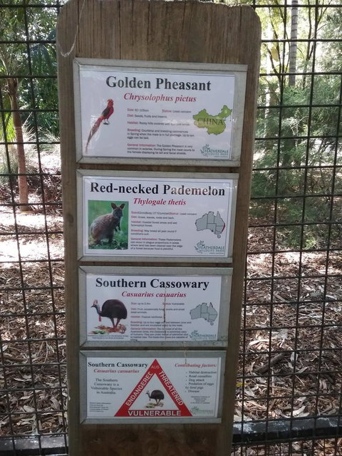 Blue Mountains Nature And Wildlife Day Tour From Sydney - New South Wales Tourism  3