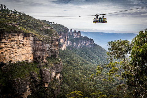 Blue Mountains Nature And Wildlife Day Tour From Sydney - New South Wales Tourism  19