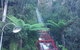 Blue Mountains Nature And Wildlife Day Tour From Sydney - thumb 14