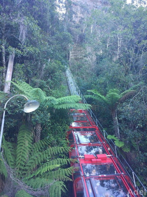 Blue Mountains Nature And Wildlife Day Tour From Sydney - New South Wales Tourism  14
