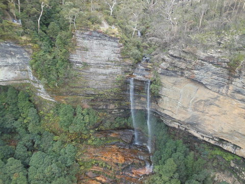 Blue Mountains Nature And Wildlife Day Tour From Sydney - New South Wales Tourism  13