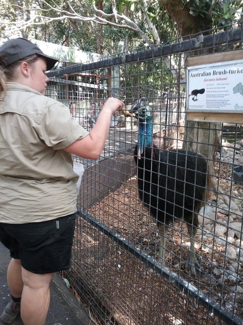 Blue Mountains Nature And Wildlife Day Tour From Sydney - New South Wales Tourism  4