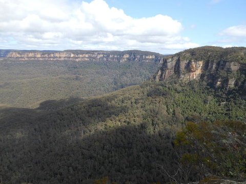 Blue Mountains Nature And Wildlife Day Tour From Sydney - New South Wales Tourism  12