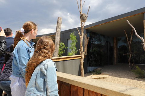 Blue Mountains Nature And Wildlife Day Tour From Sydney - New South Wales Tourism  27