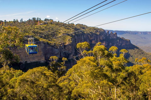 Blue Mountains Nature And Wildlife Day Tour From Sydney - New South Wales Tourism  38