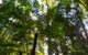 Blue Mountains Nature And Wildlife Day Tour From Sydney - thumb 31