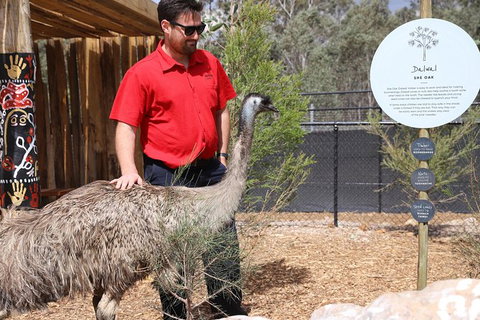 Blue Mountains Nature And Wildlife Day Tour From Sydney - New South Wales Tourism  29