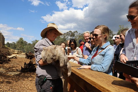 Blue Mountains Nature And Wildlife Day Tour From Sydney - New South Wales Tourism  35
