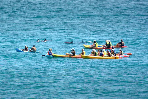 The Byron Bay Sea Kayak Tour - New South Wales Tourism  12