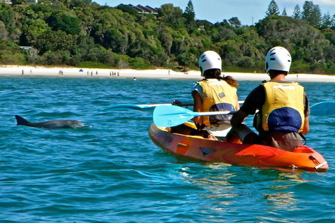 The Byron Bay Sea Kayak Tour - New South Wales Tourism  7