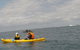 The Byron Bay Sea Kayak Tour - thumb 6