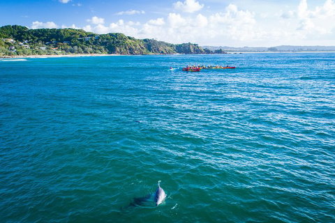 The Byron Bay Sea Kayak Tour - New South Wales Tourism  8