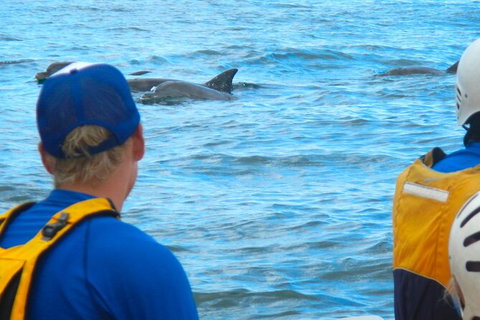 The Byron Bay Sea Kayak Tour - New South Wales Tourism  11
