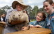 Full Day Sydney Tour With Opera House And The Rocks Tour - thumb 28
