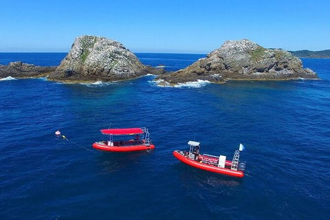 3-Hour Sea Turtle Snorkeling Experience In Byron Bay - New South Wales Tourism  8