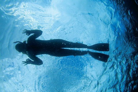 3-Hour Sea Turtle Snorkeling Experience In Byron Bay - New South Wales Tourism  9