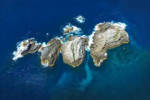 3-Hour Sea Turtle Snorkeling Experience In Byron Bay - New South Wales Tourism  7