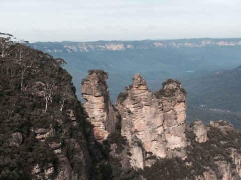 Small-Group Blue Mountains Day Trip From Sydney With Wildlife Park - New South Wales Tourism  25