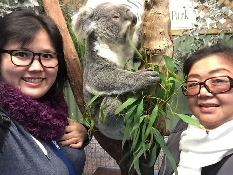 Small-Group Blue Mountains Day Trip From Sydney With Wildlife Park - New South Wales Tourism  23
