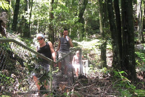 Small-Group Blue Mountains Day Trip From Sydney With Wildlife Park - New South Wales Tourism  32
