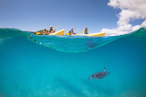 Kayaking With Dolphins In Byron Bay Guided Tour - New South Wales Tourism  14