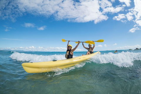Kayaking With Dolphins In Byron Bay Guided Tour - New South Wales Tourism  16