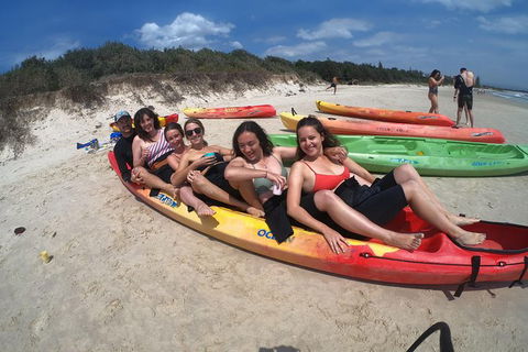 Kayaking With Dolphins In Byron Bay Guided Tour - New South Wales Tourism  6
