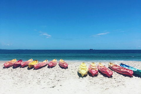 Kayaking With Dolphins In Byron Bay Guided Tour - New South Wales Tourism  20