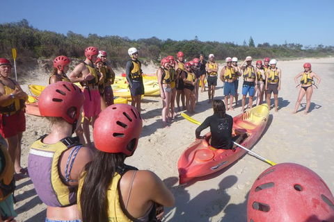 Kayaking With Dolphins In Byron Bay Guided Tour - New South Wales Tourism  4