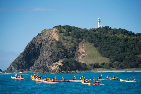 Kayaking With Dolphins In Byron Bay Guided Tour - New South Wales Tourism  2